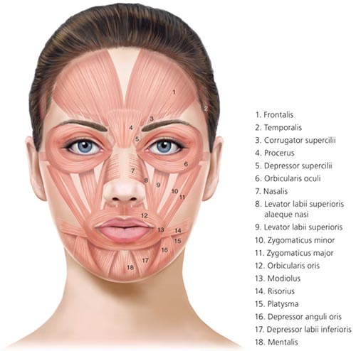 Botox - Before and After